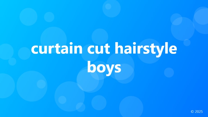 curtain cut hairstyle boys