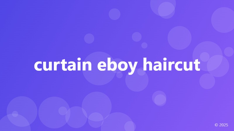 curtain eboy haircut