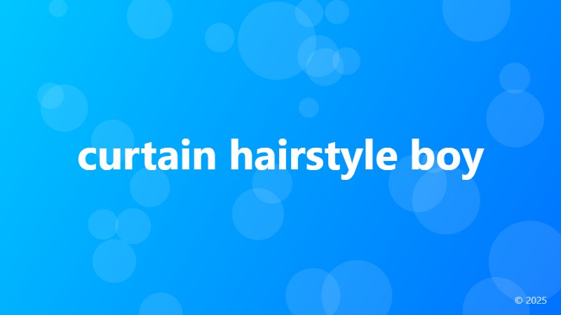 curtain hairstyle boy