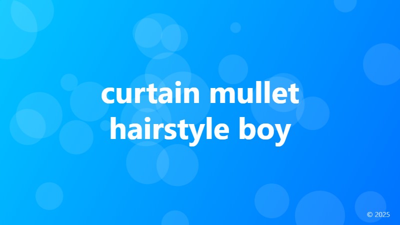 curtain mullet hairstyle boy