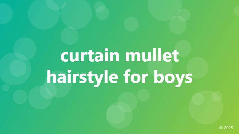 curtain mullet hairstyle for boys