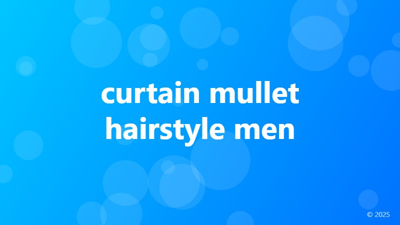 curtain mullet hairstyle men