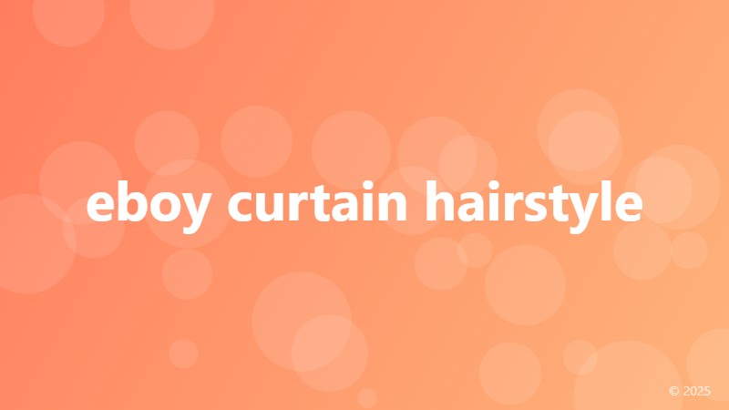 eboy curtain hairstyle